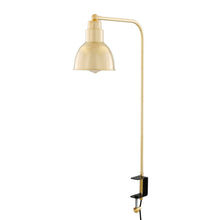 Mullan Lighting Baku Desk Lamp