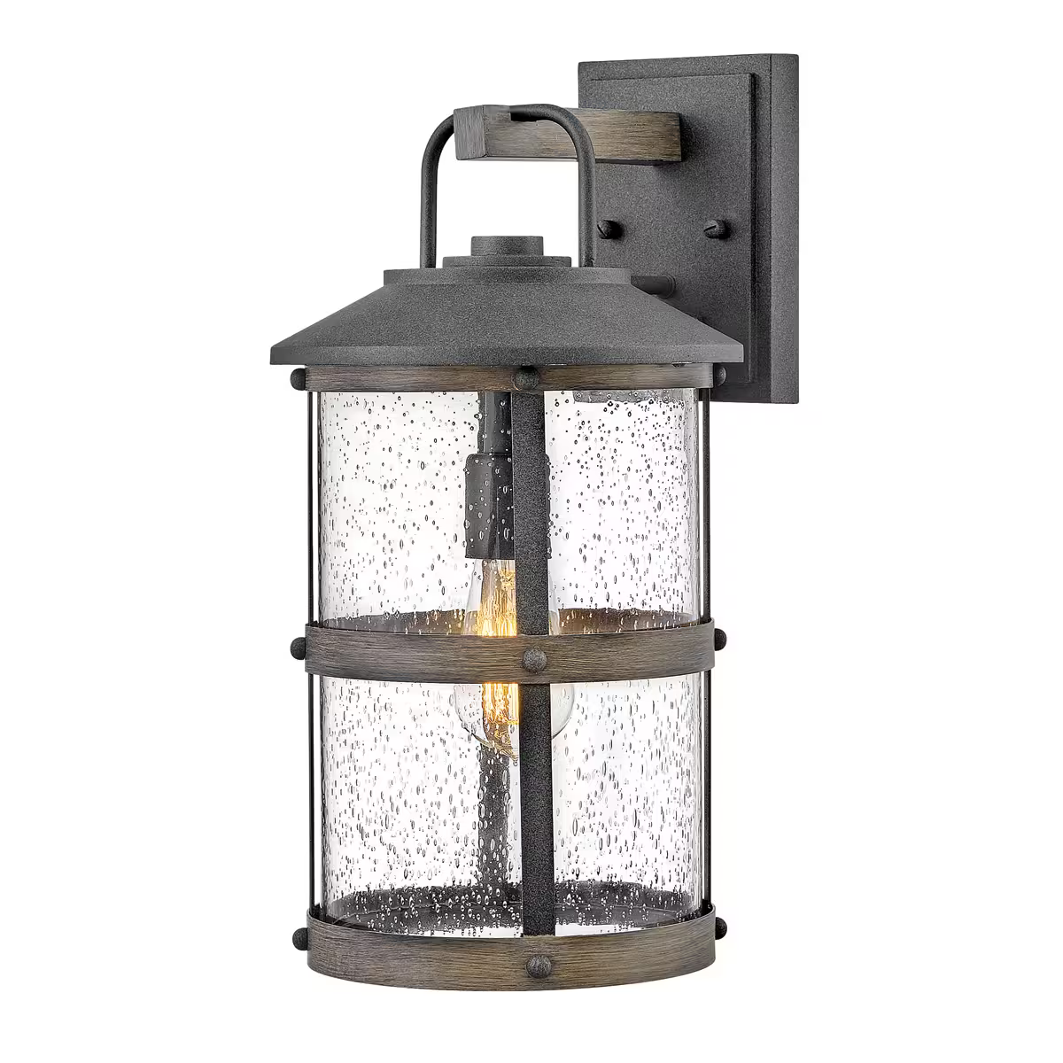 Lakehouse 1-Light Wall Lantern