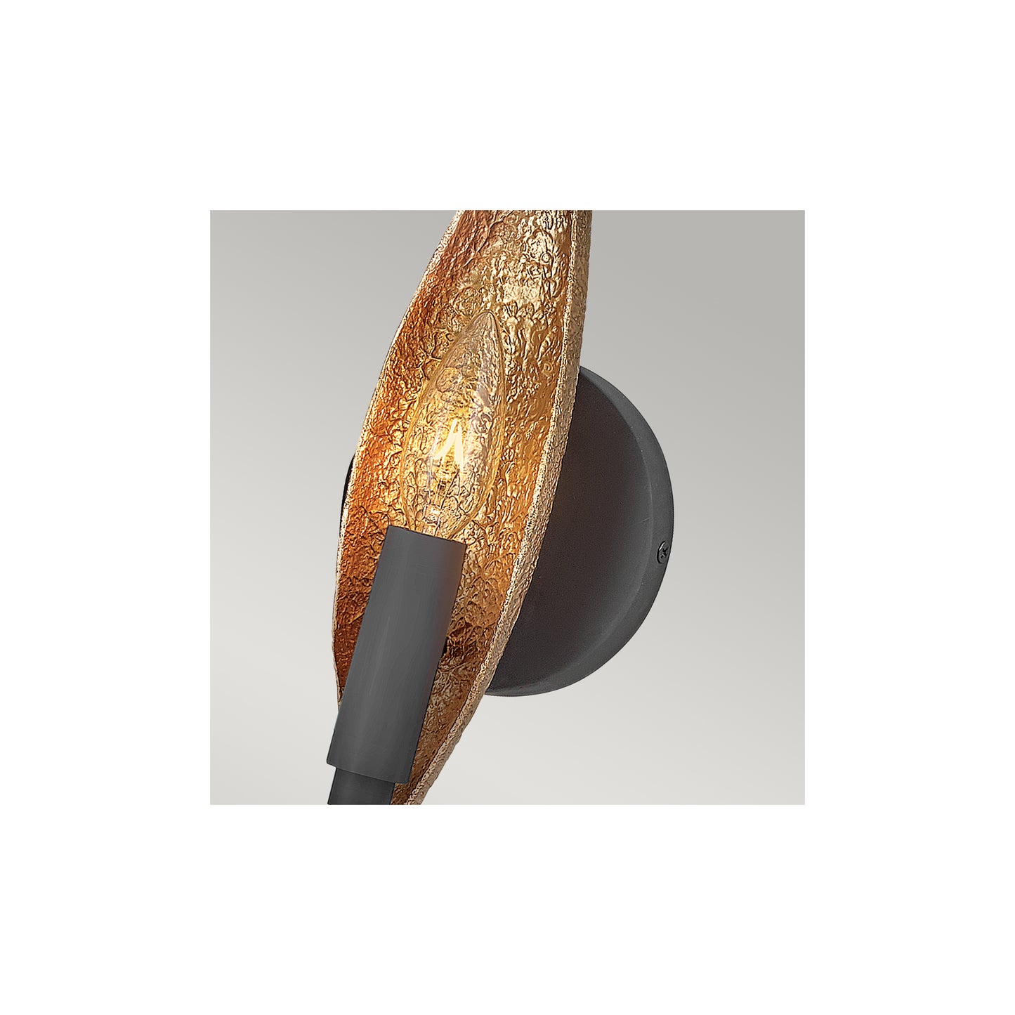 Willow 1-Light Wall Light in Carbon Black with Deluxe Gold