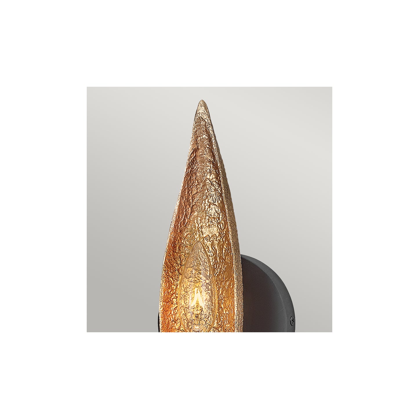 Willow 1-Light Wall Light in Carbon Black with Deluxe Gold