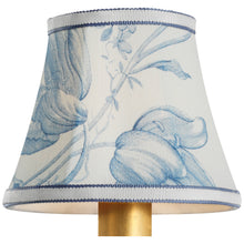 Visual Comfort Schumacher Light Shade