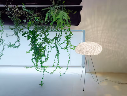 A-Emotional Light Tati Floor Lamp
