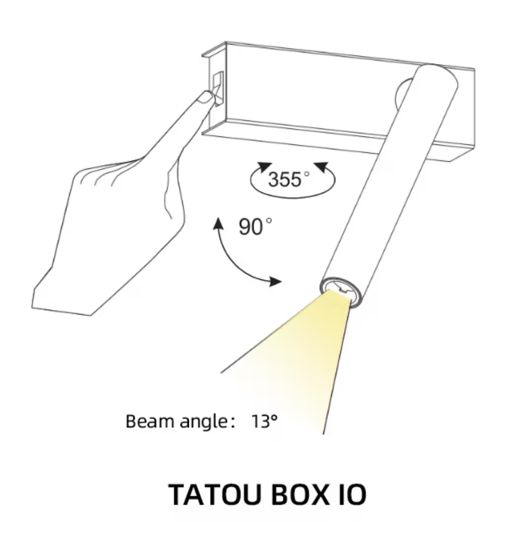 Tatou, Box IO, Wall Surface Mounted, c/w Switch, 13° Beam, 3000K in Black