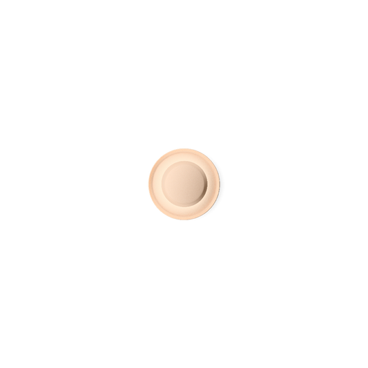 Top 1154 Ceiling/Wall Light