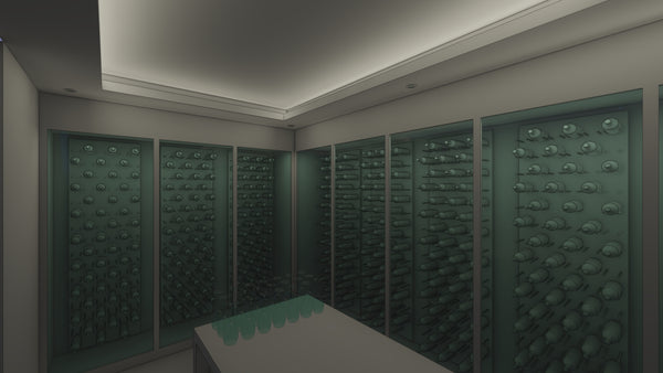 Perimeter cove wine cellar