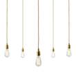 Mullan Lighting Lome 5-Light Cluster Pendant in Polished Brass