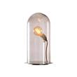 EBB & FLOW Speak Up! 23cm Table Lamp Brass Base with Mouthblown Glass in Obsidian