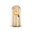 EBB & FLOW Speak Up! 23cm Table Lamp Brass Base with Mouthblown Glass in Golden smoke