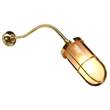 Mullan Lighting Wybert Frosted Glass Wall Light in Polished Brass
