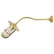 Mullan Lighting Brom Clear Glass Wall Light IP65 in Polished Brass