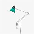 Anglepoise Type 1228 Adjustable Wall Mounted Lamp with Spring in Daffodil Yellow in Mid Green