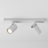Ascoli Twin Bar Adjustable Ceiling Spotlight