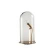EBB & FLOW Speak Up! 23cm Table Lamp Brass Base with Mouthblown Glass in Clear