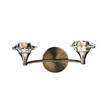 Dar Luther Double Wall Bracket with Crystal Glass in Antique Brass