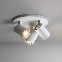 Ascoli 3-Light Round Adjustable Ceiling Spotlight